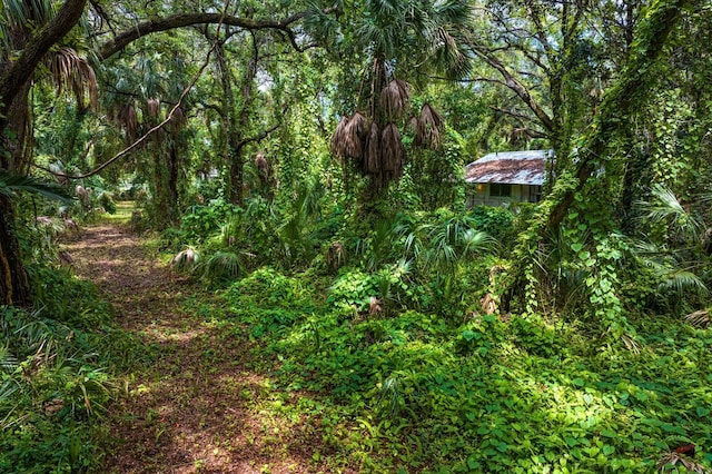 8004 Bay Dr, Tampa, FL 33635 - photo 6