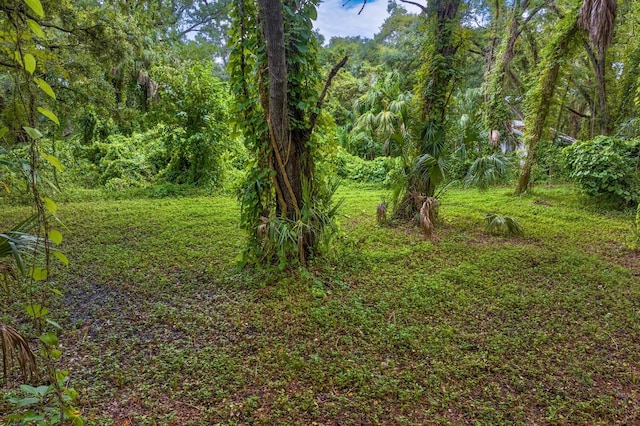 8004 Bay Dr, Tampa, FL 33635 - photo 12