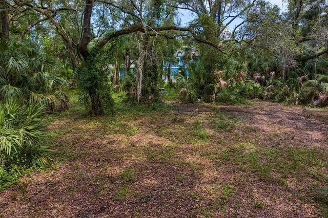 8004 Bay Dr, Tampa, FL 33635 - photo 17