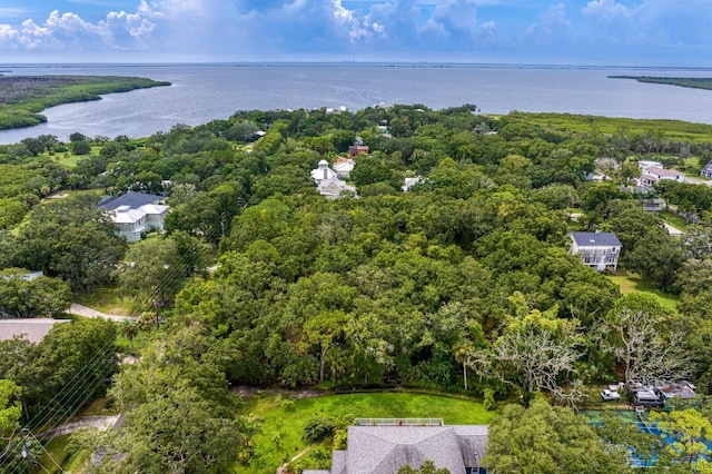 8004 Bay Dr, Tampa, FL 33635 - photo 25
