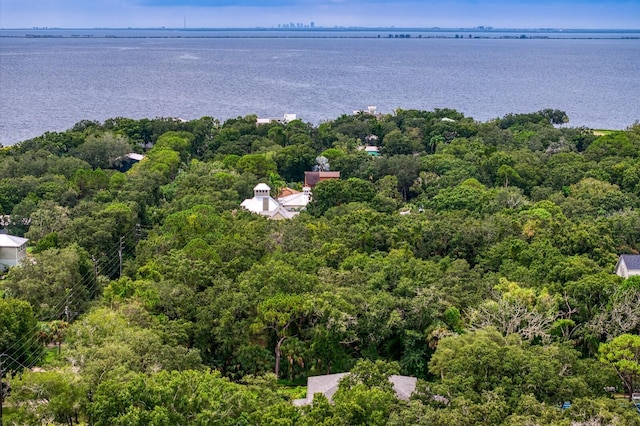 8004 Bay Dr, Tampa, FL 33635 - photo 26