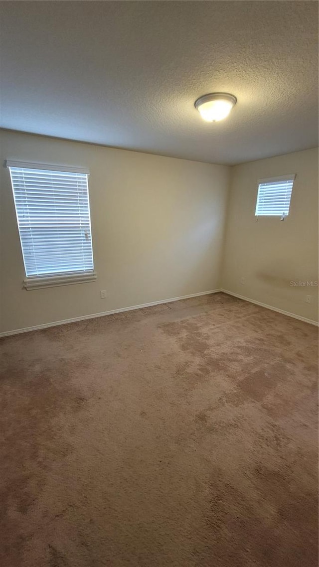 spare room featuring a textured ceiling and carpet flooring