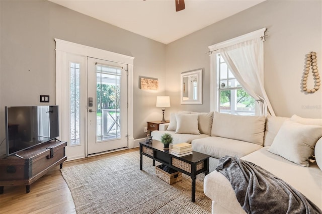 living room featuring ceiling fan, light wood-type flooring, and a healthy amount of sunlight