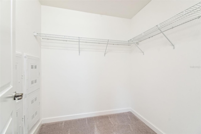 walk in closet featuring carpet flooring