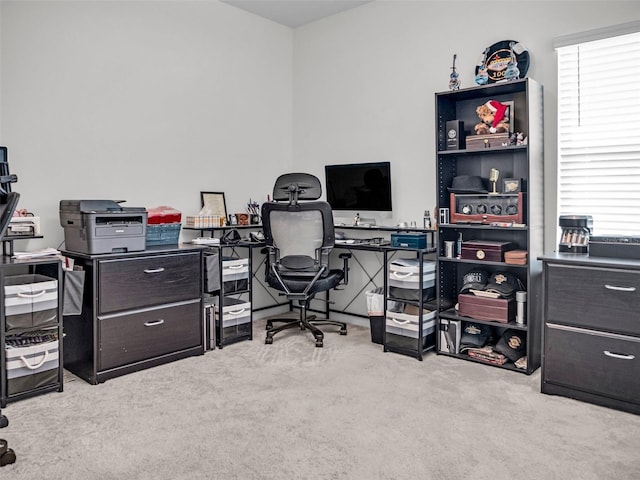 office space featuring carpet and plenty of natural light