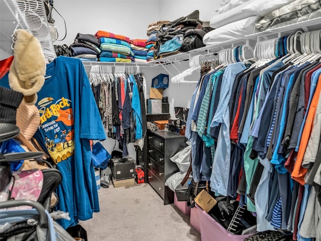 spacious closet with carpet flooring