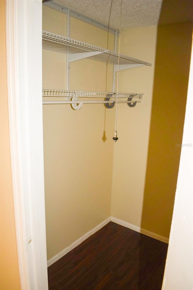 4335 Aegean Dr Unit 106A, Tampa, FL 33611 - view of closet