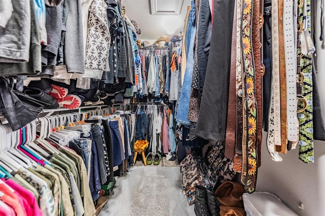 spacious closet with carpet floors