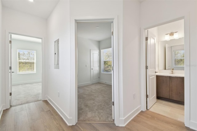 hall with light wood-style flooring, light colored carpet, a wealth of natural light, and baseboards