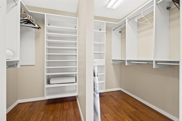 spacious closet featuring dark hardwood / wood-style flooring