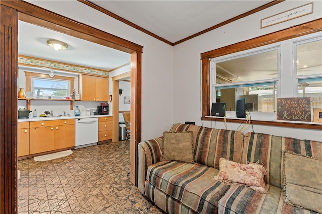 living room with sink and crown molding