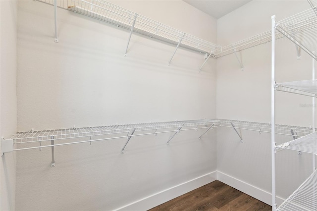 walk in closet with dark wood-style floors