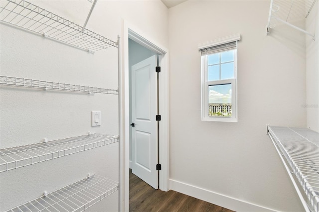 spacious closet with dark wood finished floors