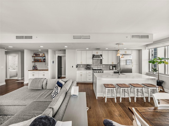 living room featuring sink and dark wood-type flooring