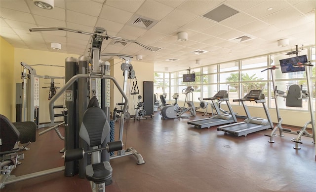 workout area with a paneled ceiling and floor to ceiling windows