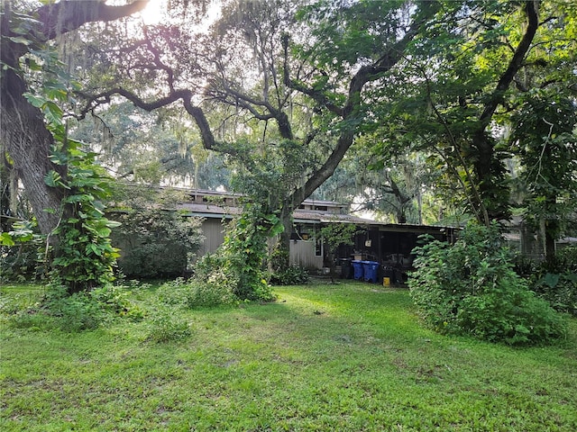 view of yard