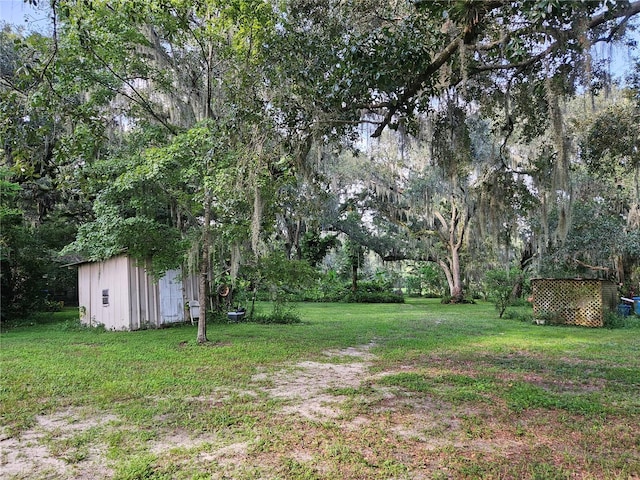 view of yard featuring a storage unit