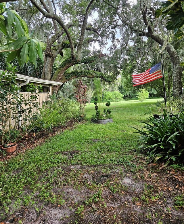 view of yard