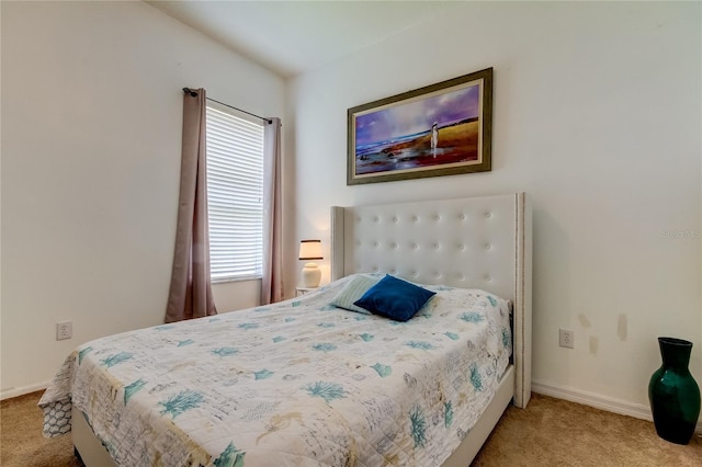 25954 Risen Star Dr, Wesley Chapel, FL 33544 - view of carpeted bedroom