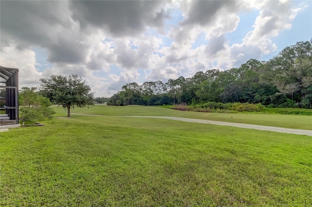 25954 Risen Star Dr, Wesley Chapel, FL 33544 - surrounding community with a lawn