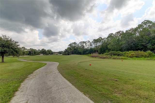 25954 Risen Star Dr, Wesley Chapel, FL 33544 - view of property's community featuring a yard