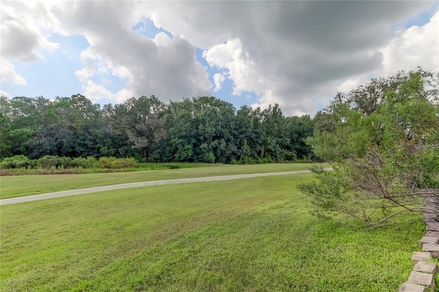 view of property's community featuring a yard