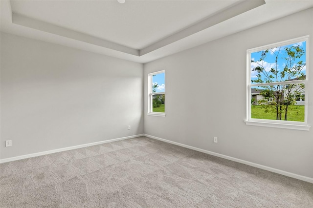 spare room featuring a wealth of natural light, a raised ceiling, and light carpet