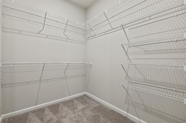 walk in closet featuring carpet flooring