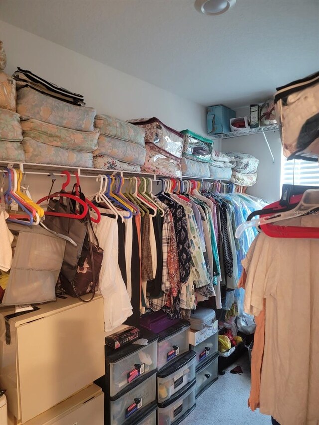 spacious closet featuring carpet floors