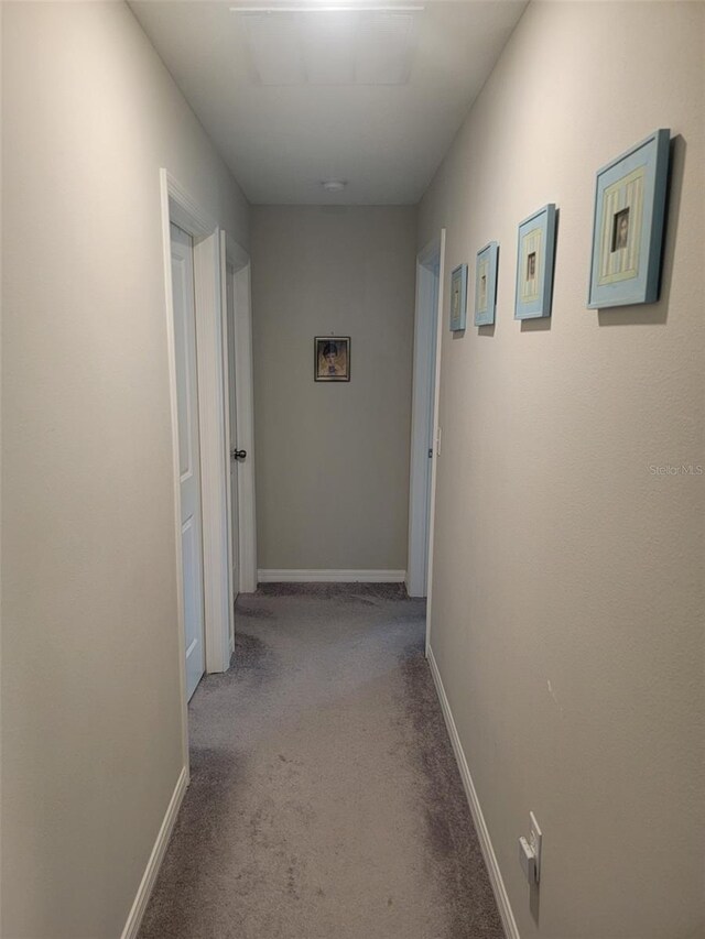 hall featuring carpet floors