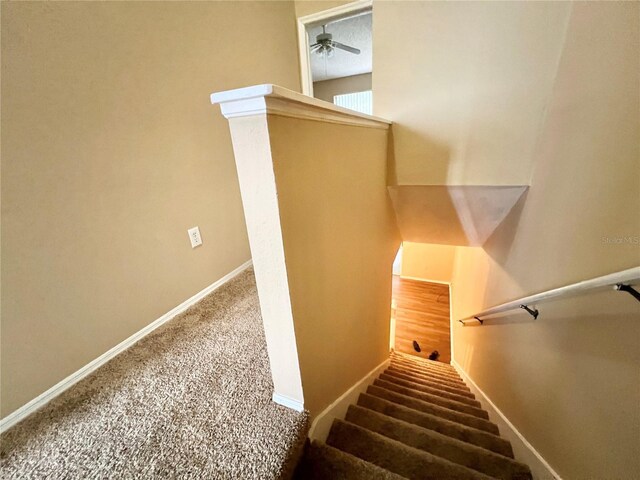 stairway with carpet flooring and ceiling fan