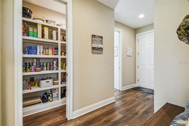 hall featuring dark hardwood / wood-style floors