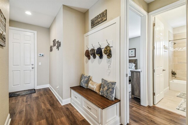 mudroom with dark hardwood / wood-style floors