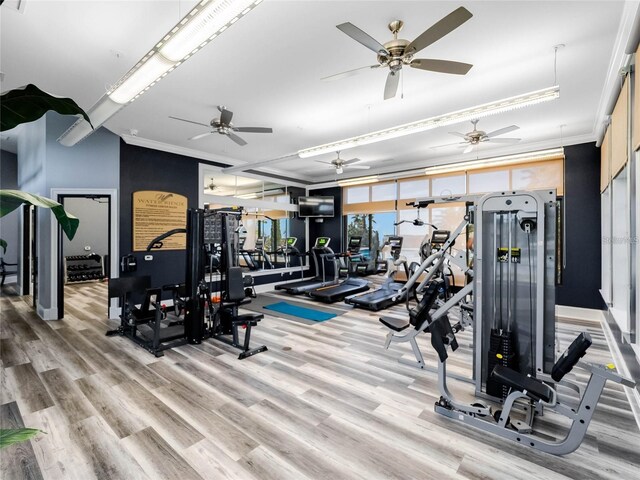 workout area featuring ceiling fan, hardwood / wood-style floors, and ornamental molding