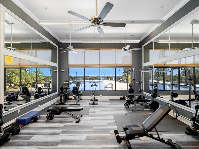 exercise room featuring ceiling fan, hardwood / wood-style floors, and crown molding