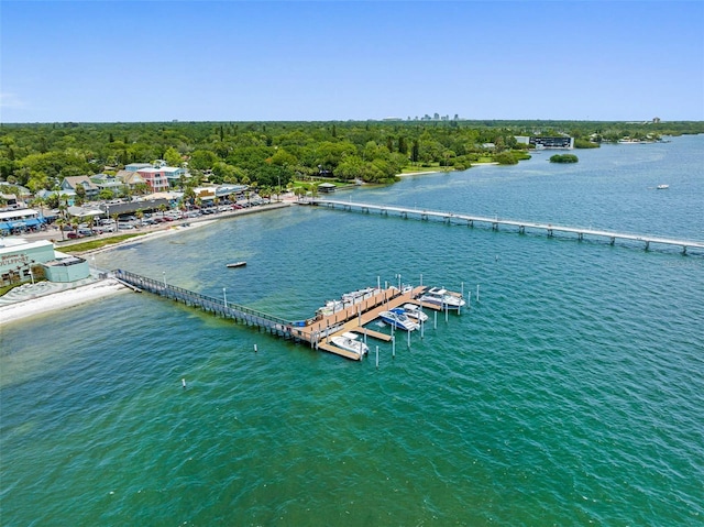 aerial view featuring a water view and a wooded view