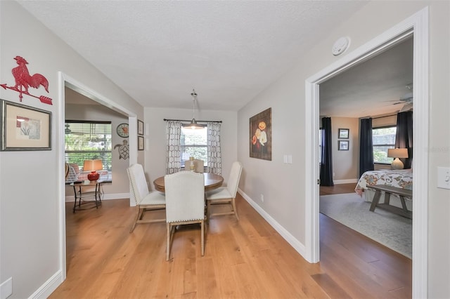 dining room featuring a textured ceiling, light wood-type flooring, and ceiling fan