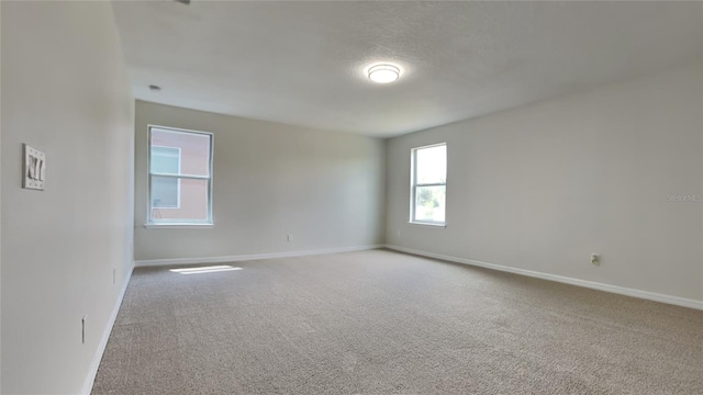 spare room featuring carpet