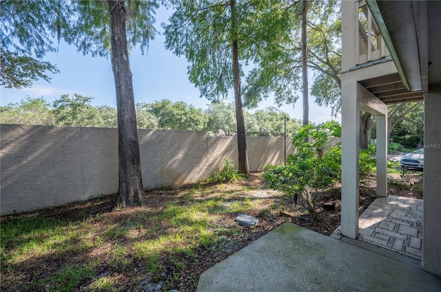 view of yard featuring a patio area and a fenced backyard