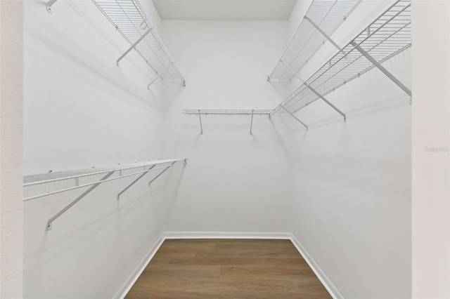 walk in closet featuring wood finished floors