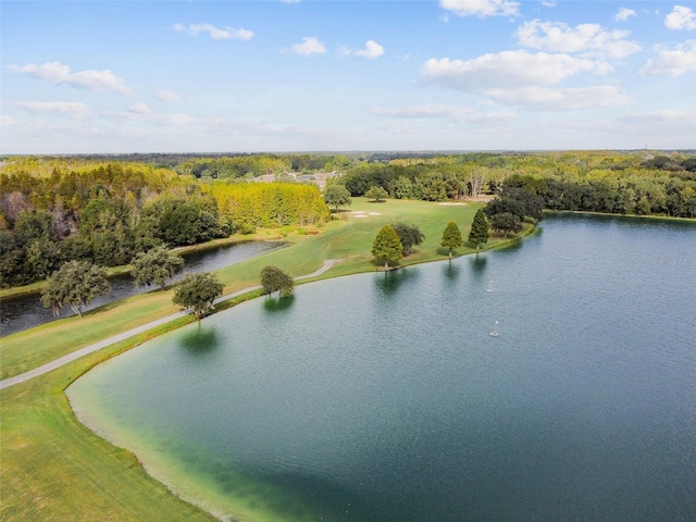 drone / aerial view featuring a water view and a wooded view