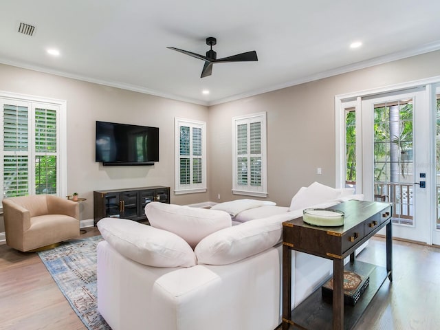 living room featuring ceiling fan, light hardwood / wood-style floors, and crown molding