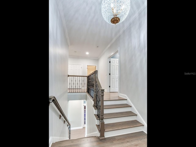 2501 N Dundee St, Tampa, FL 33629 - photo 43