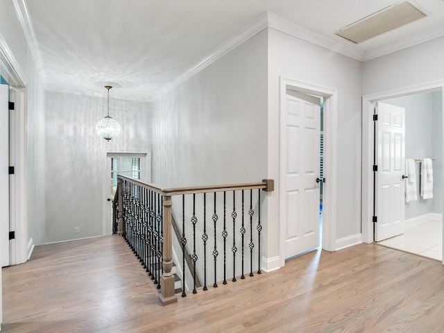 corridor with crown molding and wood-type flooring