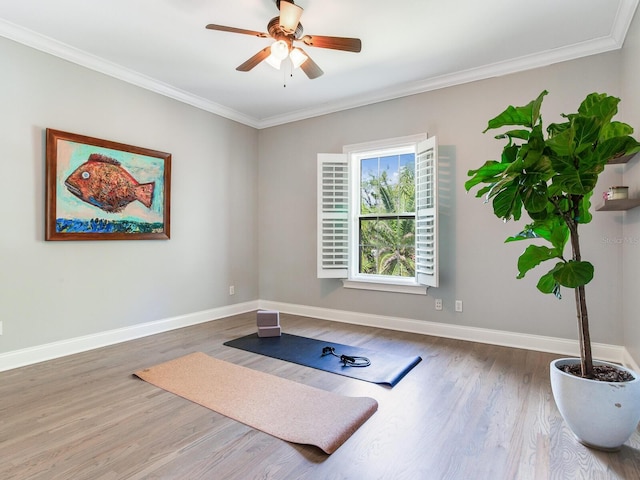 exercise area featuring ceiling fan, hardwood / wood-style floors, and crown molding