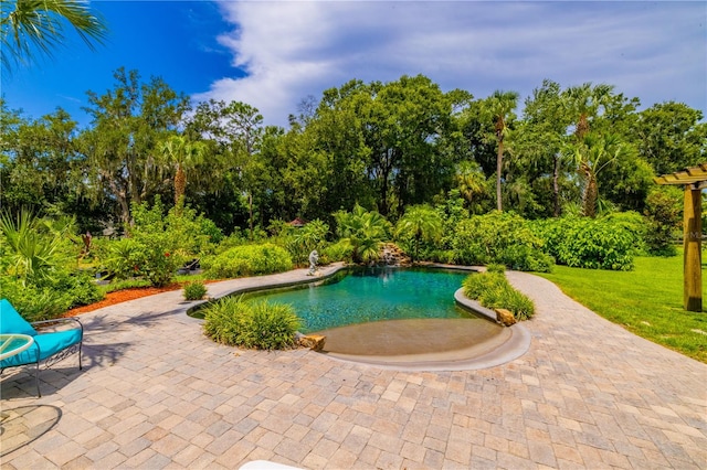 view of swimming pool with a patio area and a yard