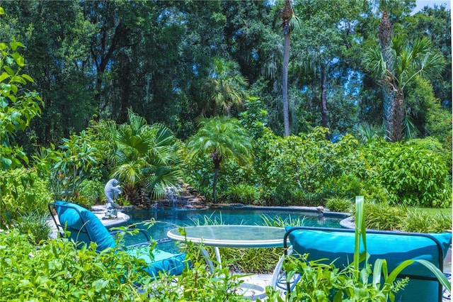 view of swimming pool