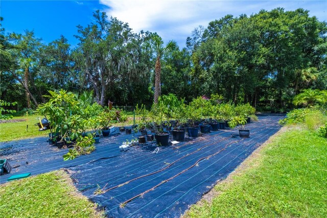 view of yard featuring a deck