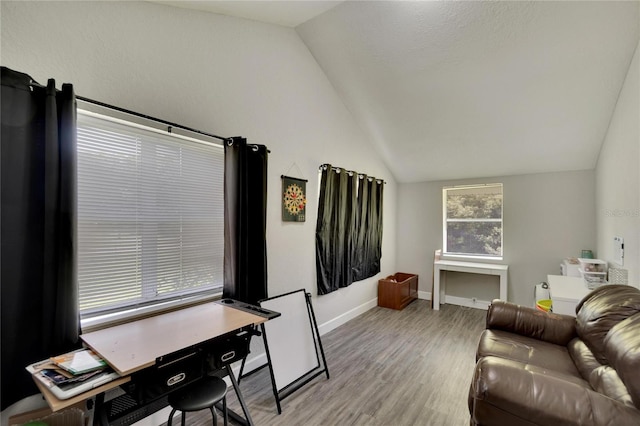 living room with lofted ceiling and hardwood / wood-style flooring