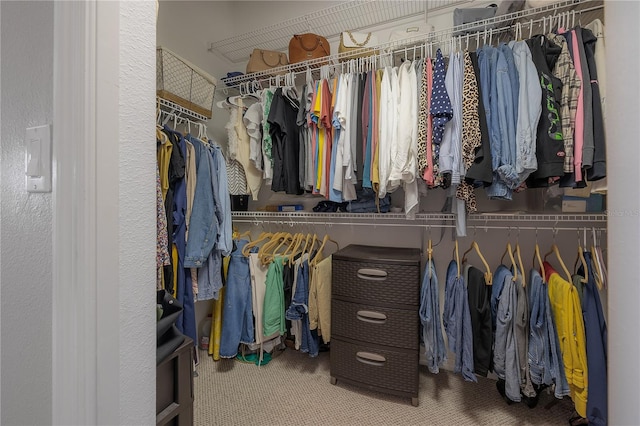 walk in closet featuring carpet flooring